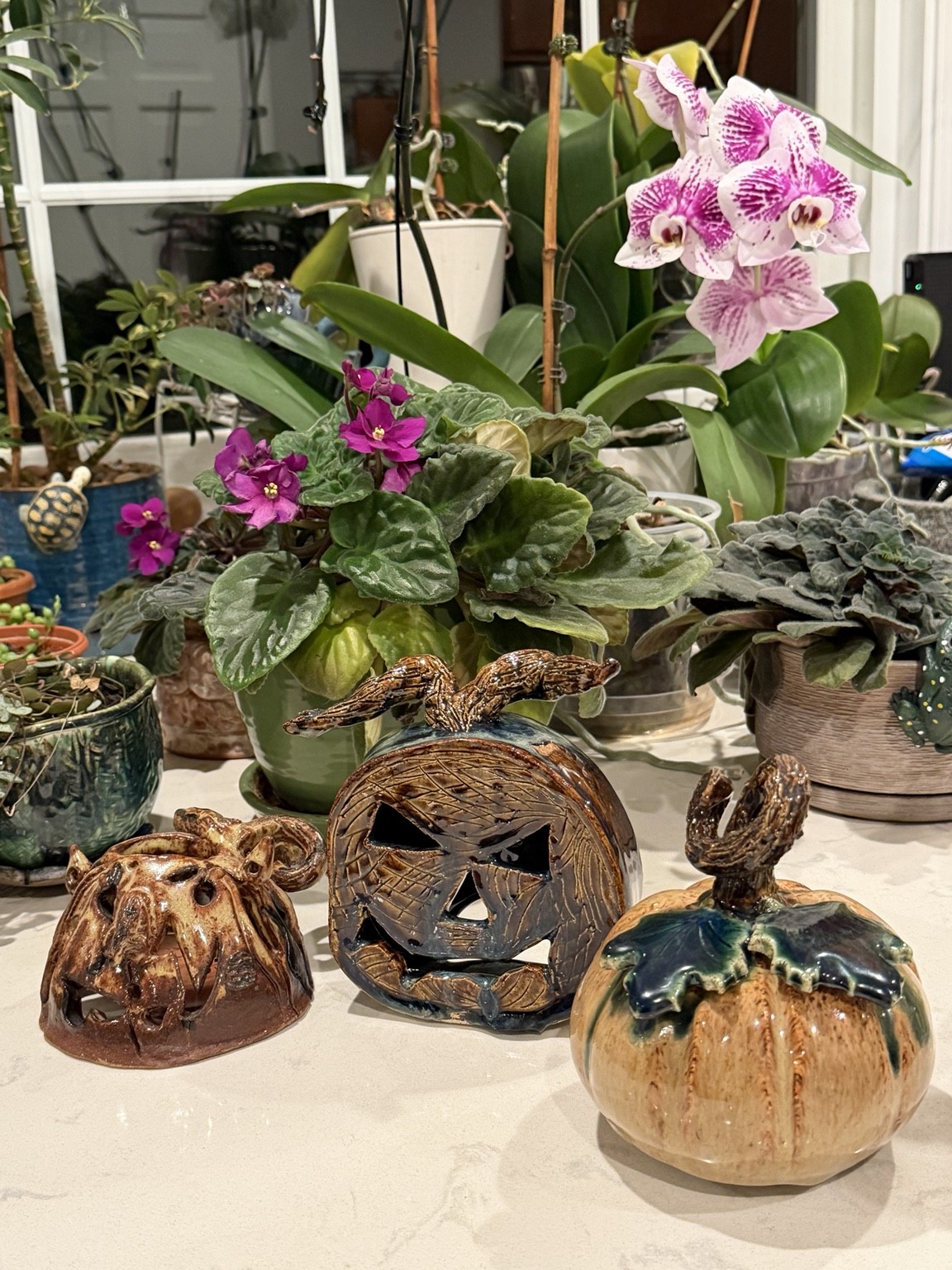 Autumn pumpkins